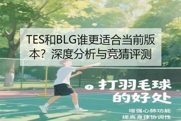 TES和BLG谁更适合当前版本？深度分析与竞猜评测